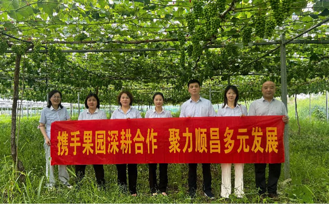 俄罗斯专享会·294VIP(中国区)官方网站