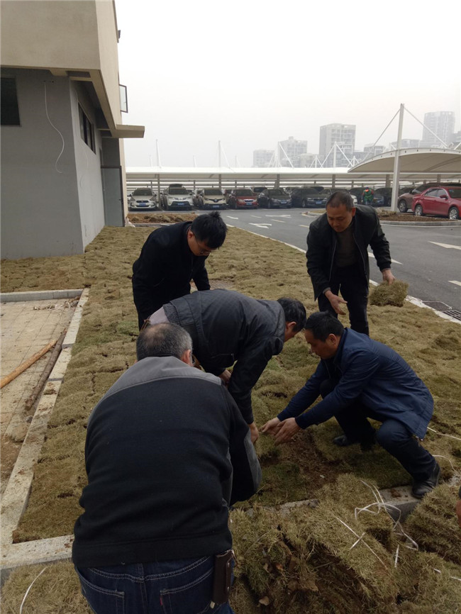 20190419093955_8990 俄罗斯专享会·294VIP(中国区)官方网站